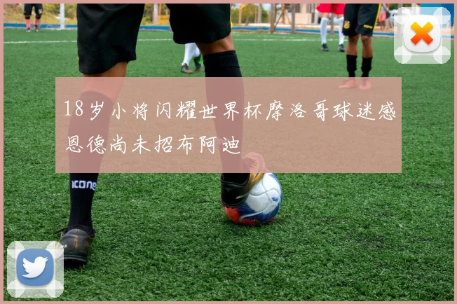 18岁小将闪耀世界杯摩洛哥球迷感恩德尚未招布阿迪